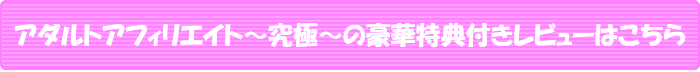 アダルトアフィリエイト~究極~の豪華特典付きレビューはこちら